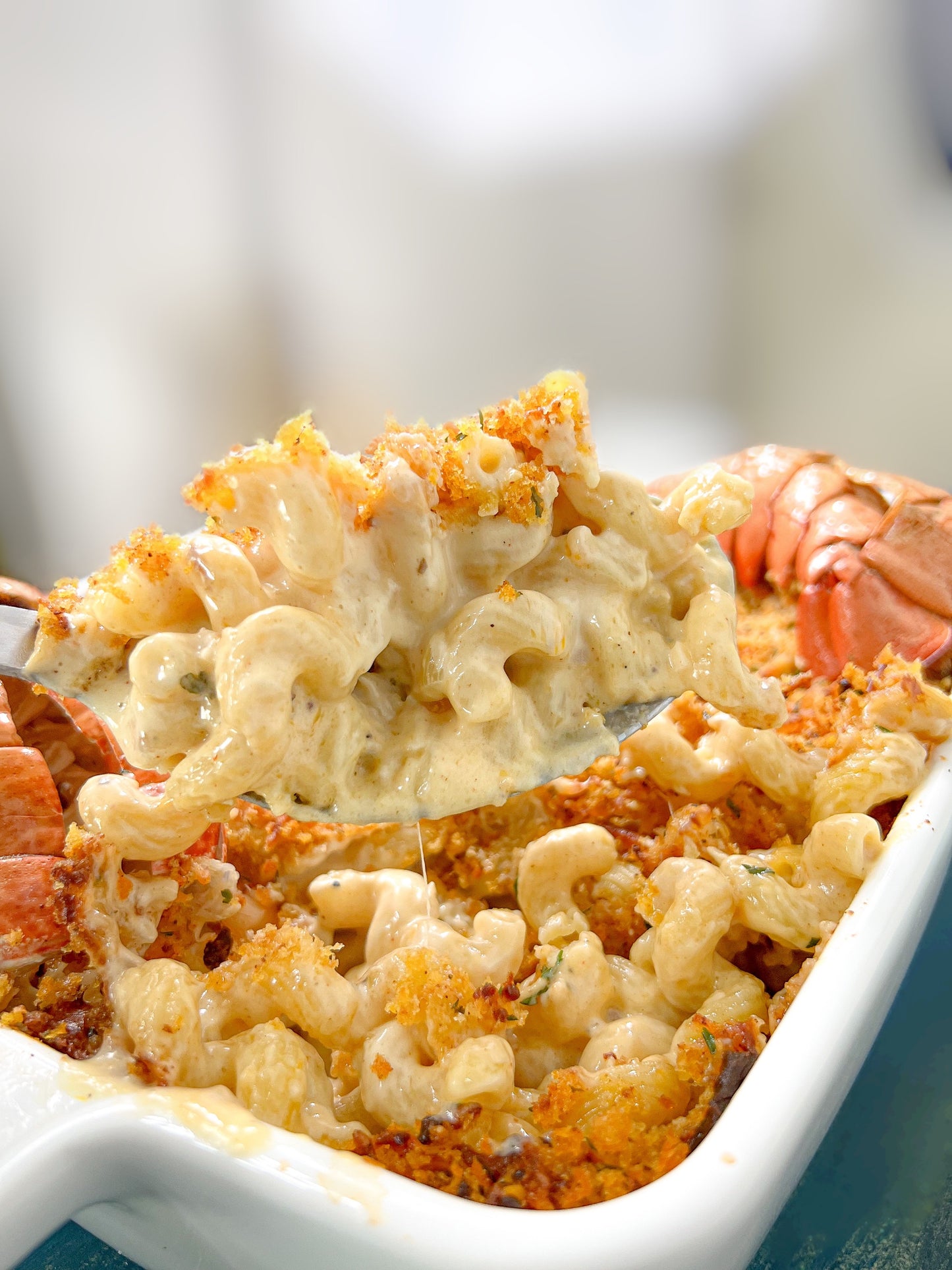 Panko Crust Lobster Mac and Cheese